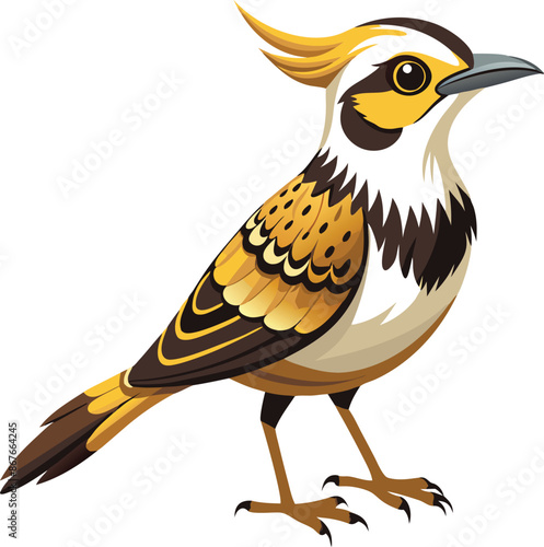 Cactus Wren bird Vector
