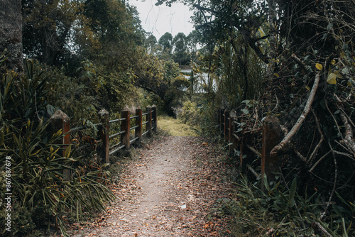 Camino photo