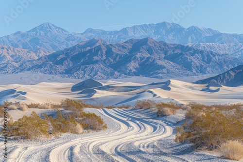 Fototapeta Naklejka Na Ścianę i Meble -  rolling sand dunes professional photography