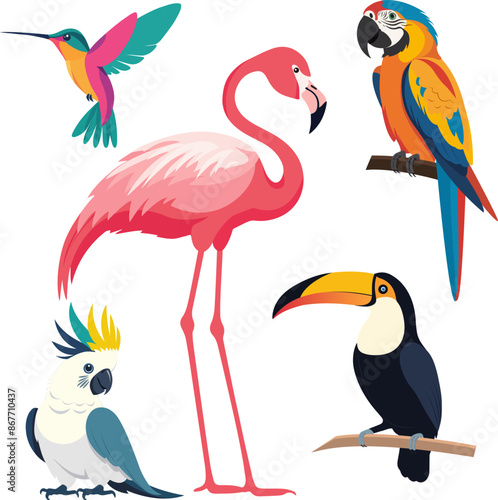 Cute animals in the jungle. Vector illustration in flat style. Birds of Amazonian forests in flat design illustration. Fauna of South America. Colorful Ara, parrot, flamingo, toucan for icons