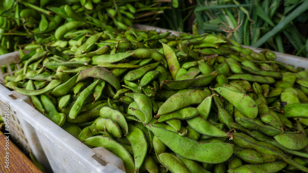 Fototapeta premium Fresh edamame displayed at a bustling farmers market. Vibrant green pods, harvested locally, ready for cooking. Healthy, nutritious snack or meal ingredient. Essence of farm-to-table produce