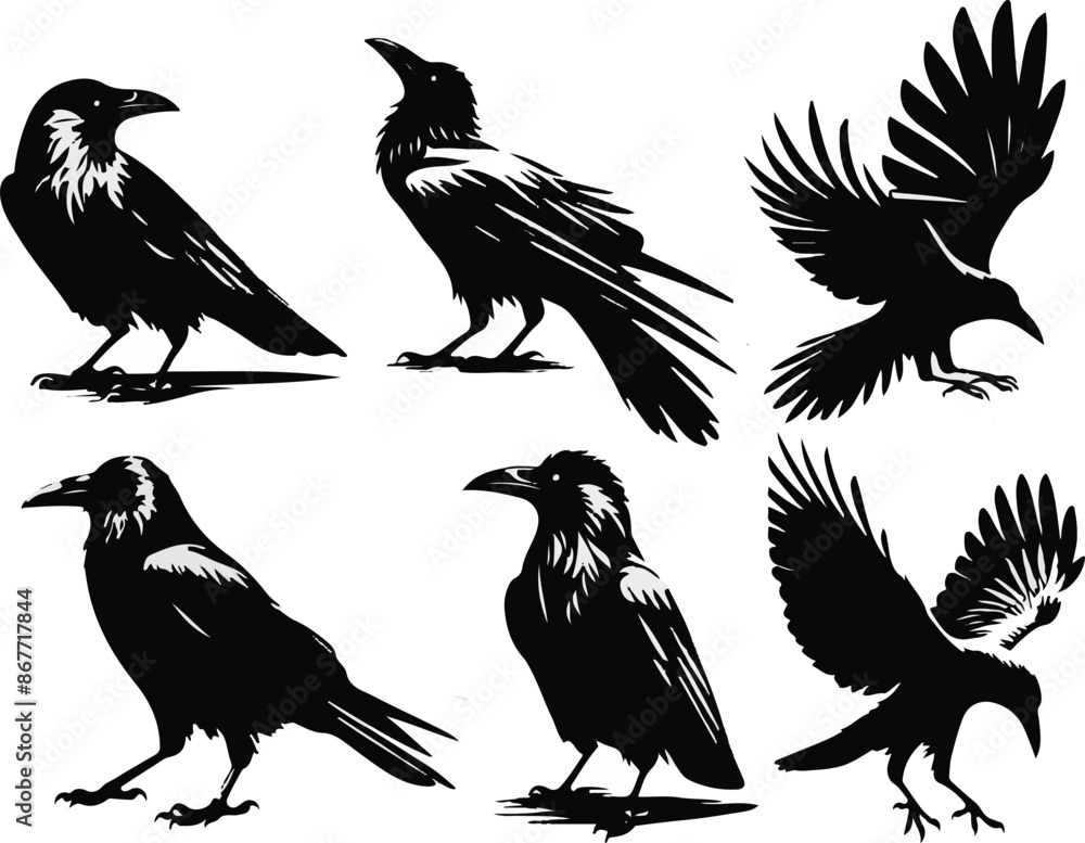 Fototapeta premium Timeless Crow Silhouette Logo set Vector