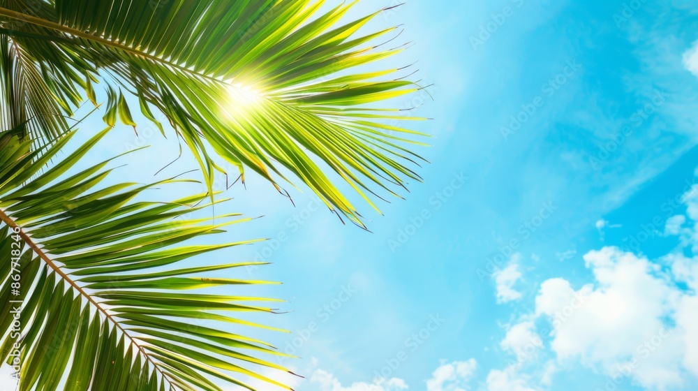 palm leaves on blue sky background --ar 16:9 --style raw Job ID: 8983a41b-b9bc-4d7a-a067-8e294fb180bc palm leaves on blue sky background --ar 16:9 --style raw Job ID: 8983a41b-b9bc-4d7a-a067-8e294fb180bc