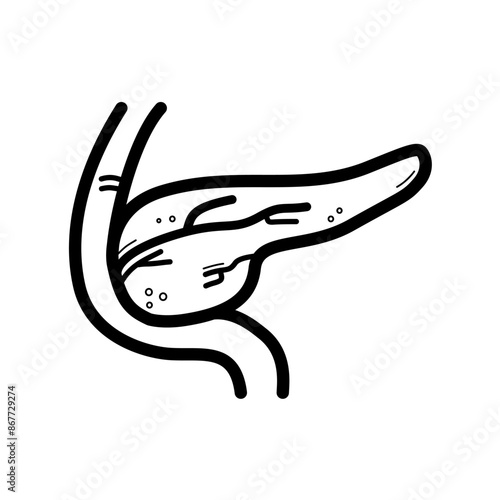 human pancreas - vector icon