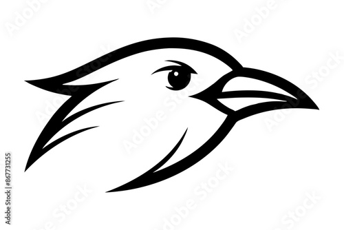  bird face logo silhouette vector illustration photo