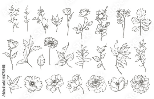 Set of hand drawn flowers, branches and leaves in line art style. Collection of sketches of botanical elements. Vector illustration for tattoo, wedding invitation, wallpaper, save the date card