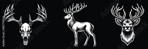 Set of deer isolated on black background, vector illustration.
