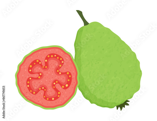 Red guava illustration. Fresh ripe guava fruit in cut isolated on white background. Juicy tropical fruit.