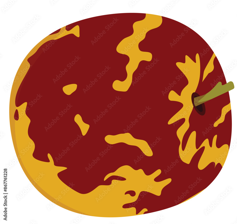 Single Jujube Fruit Illustration Single Jujube Fruit Illustration