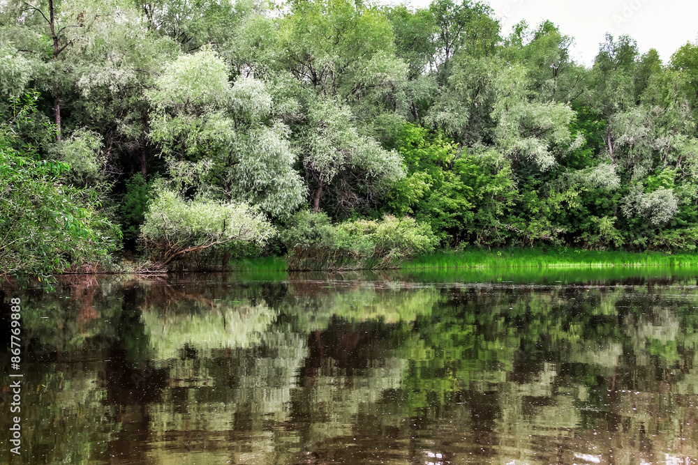 Green trees and bushes are reflected in the calm river water on a summer day. Green trees and bushes are reflected in the calm river water on a summer day.