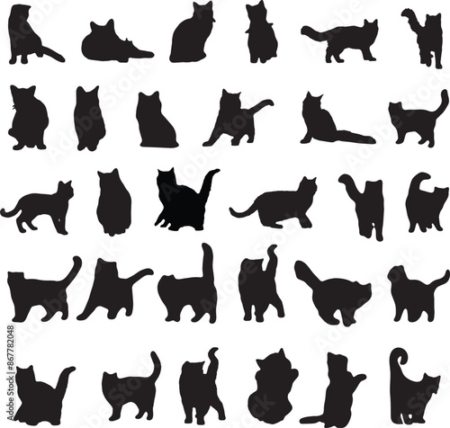 Hand Drawn Collection of Animal Silhouette