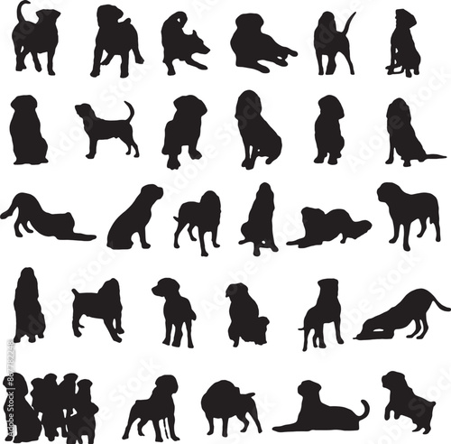 Hand Drawn Collection of Animal Silhouette