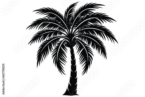 vector set of tropical palm tree silhouettes