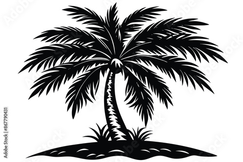 vector set of tropical palm tree silhouettes