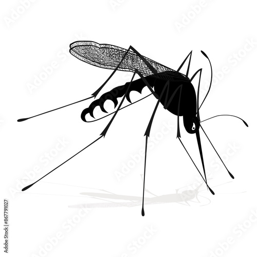 gnat mosquito midge dengue fever bloodsucker Glyphvector tattoo