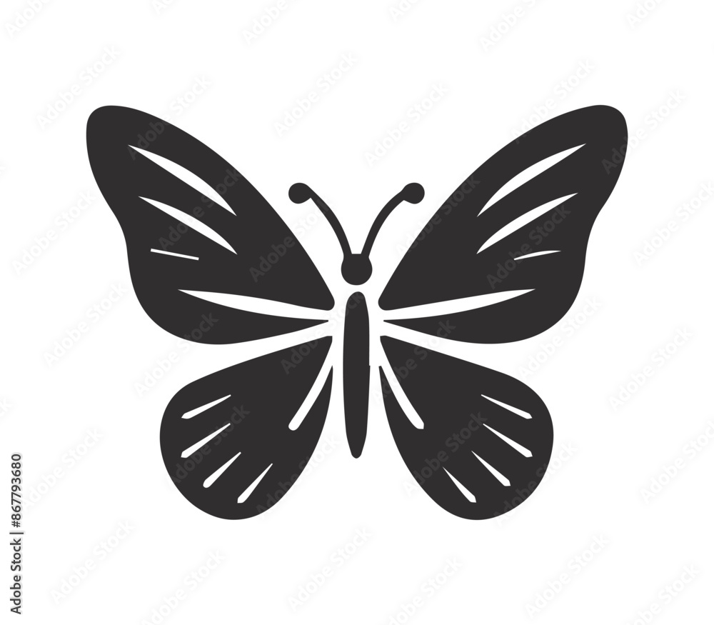 Vector butterfly, silhouettes and butterflies icons isolated on white background.	