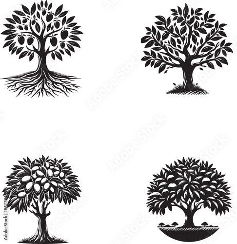 Black Silhouette Mango Tree Vector Illustration for Design