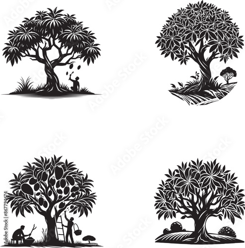 Black Silhouette Mango Tree Vector Illustration for Design