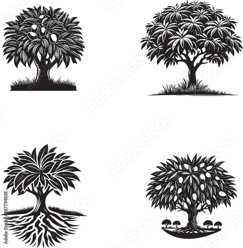 Black Silhouette Mango Tree Vector Illustration for Design