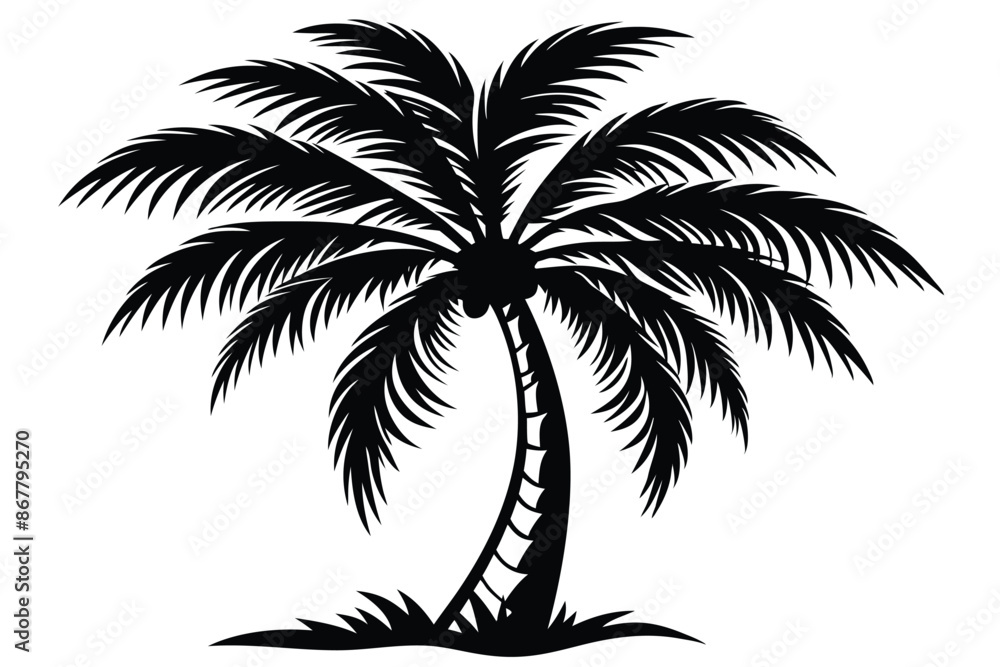 vector set of tropical palm tree silhouettes vector set of tropical palm tree silhouettes