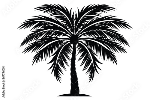 vector set of tropical palm tree silhouettes