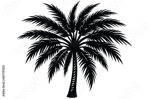 vector set of tropical palm tree silhouettes