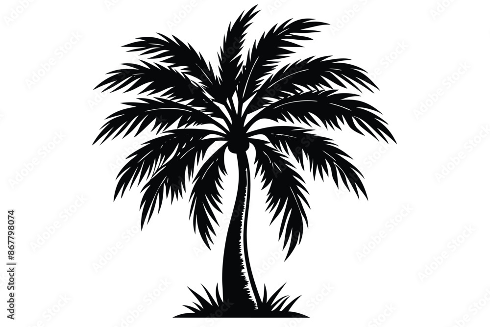 vector set of tropical palm tree silhouettes vector set of tropical palm tree silhouettes