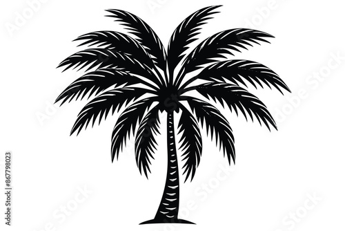 vector set of tropical palm tree silhouettes