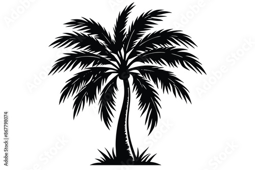 vector set of tropical palm tree silhouettes