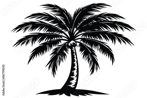 vector set of tropical palm tree silhouettes