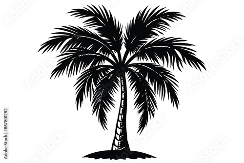 vector set of tropical palm tree silhouettes