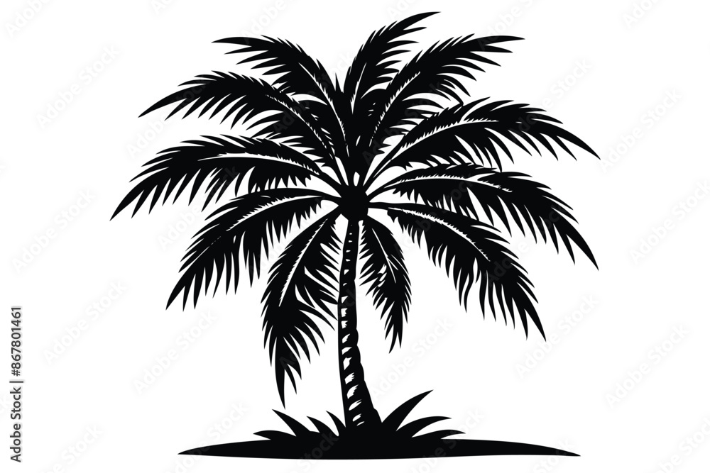 vector set of tropical palm tree silhouettes vector set of tropical palm tree silhouettes