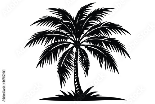 vector set of tropical palm tree silhouettes