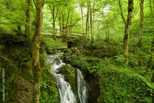 waterfall in the forest with a wooden bridge © Turner