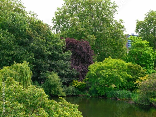 Lush green English canal with surrounding trees and foliage