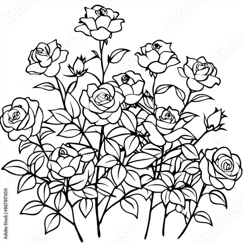 A bunch of roses are in a garden