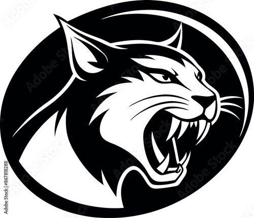 A black and white cat with its mouth open and teeth bared