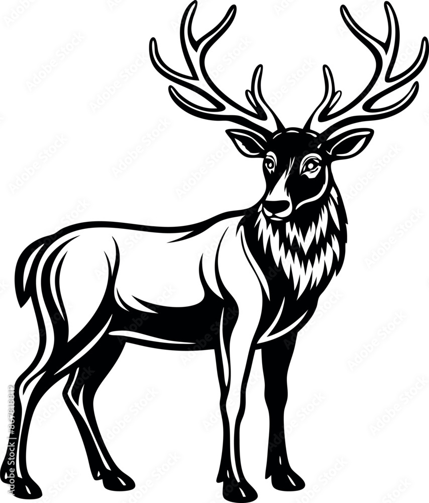 A deer with antlers stands in front of a white background A deer with antlers stands in front of a white background