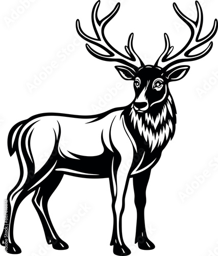 A deer with antlers stands in front of a white background