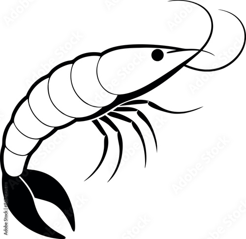 A white and black drawing of a shrimp