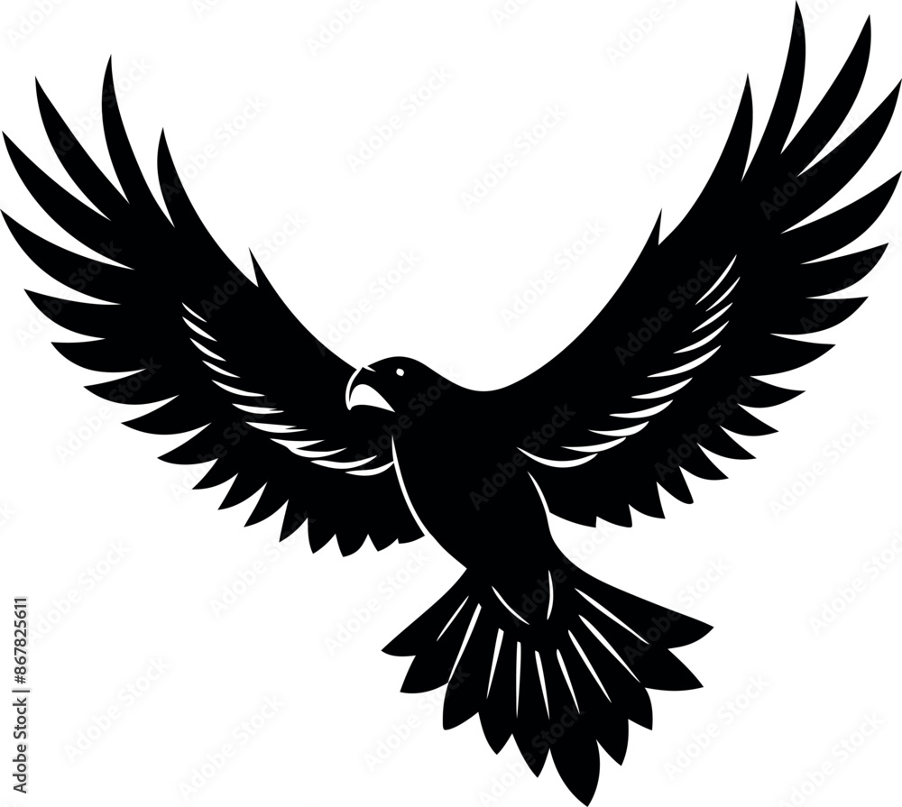 Obraz premium A black bird with its wings spread out