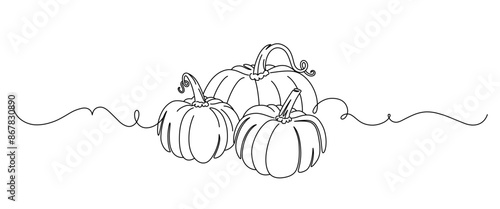 pumpkins line art style. halloween and thanksgiving elements vector.