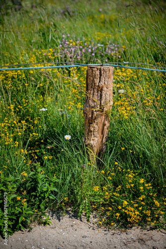 Just a fence at the beach