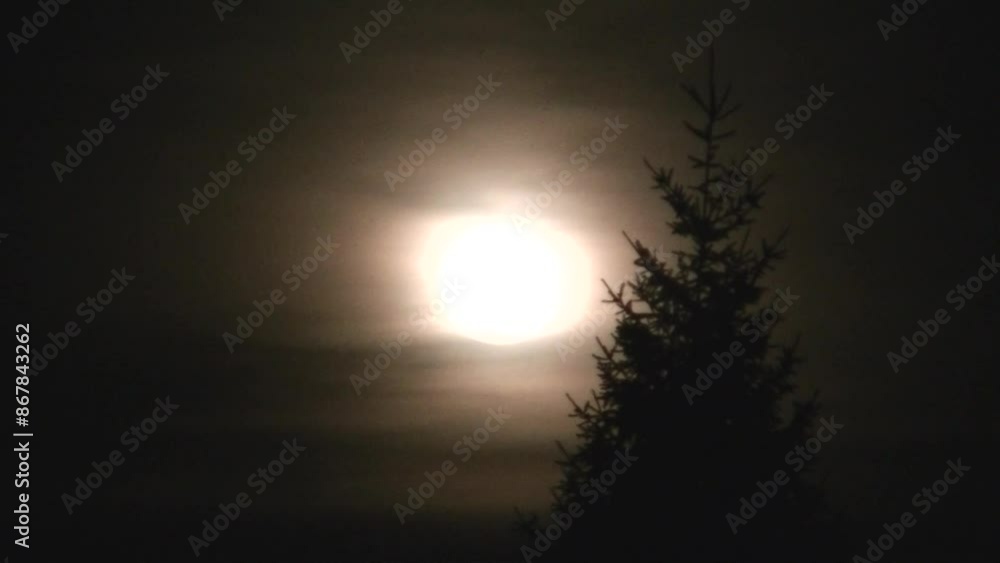 Dark sky and moonlight of full moon in December called Cold Moon with bright and orange glow on moving clouds and black conifer tree - timelapse. Topics: weather, astronomy, meteorology, season Dark sky and moonlight of full moon in December called Cold Moon with bright and orange glow on moving clouds and black conifer tree - timelapse. Topics: weather, astronomy, meteorology, season