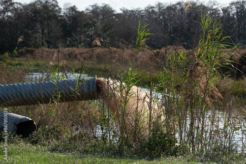 Waste water flowing from a pipe