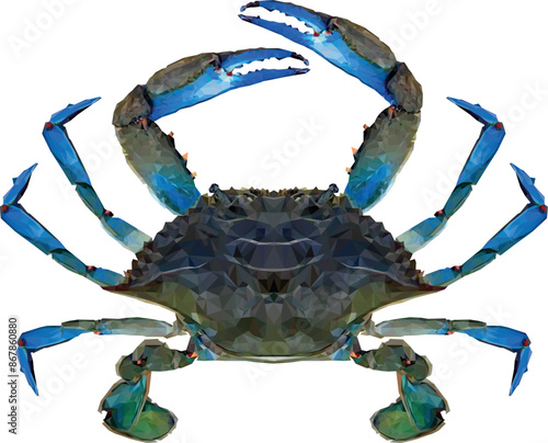 Geometric Crab