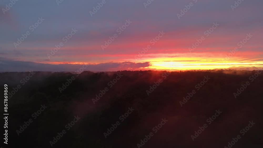 Forest Sunset with Misty Clouds Forest Sunset with Misty Clouds