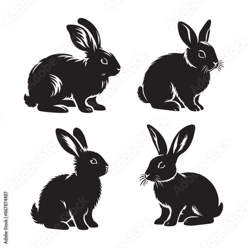 Rabbit vector silhouette