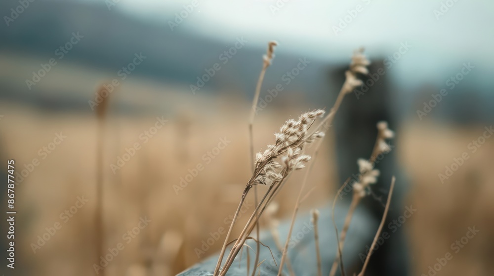 Obraz premium Find solace in the unspoiled beauty of an empty wood, set against a stunning nature view that stirs the soul with copy space for impact