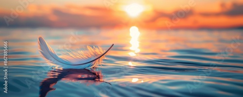 White feather floating on calm ocean water during sunset, peaceful and serene concept